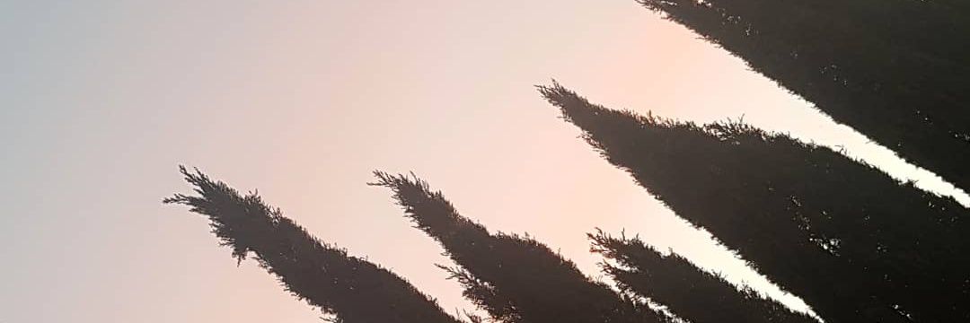 valecoar's profile banner image