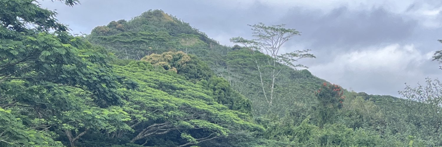 SarinaRusso2's profile banner image