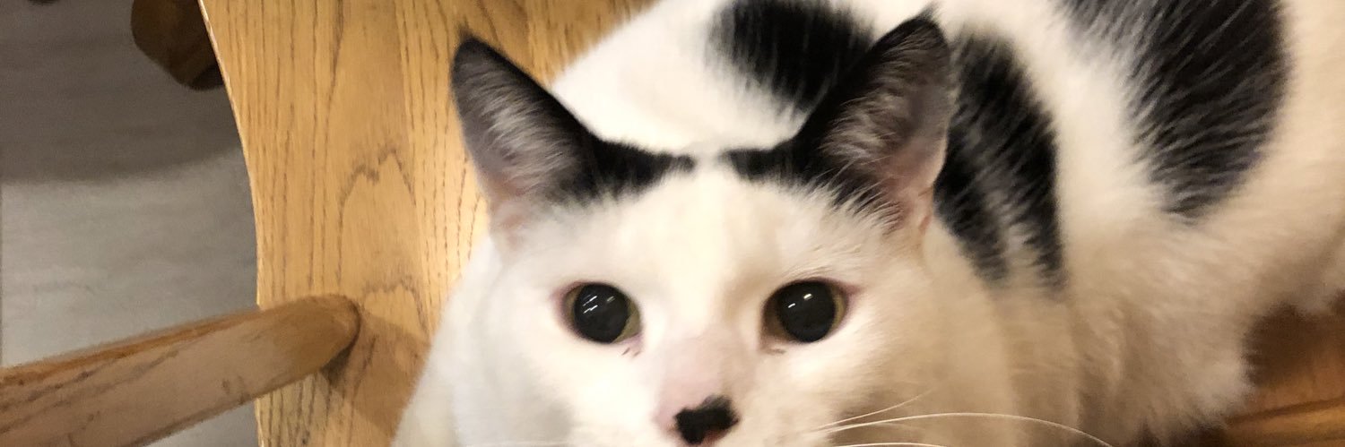 Itzbean's profile banner image