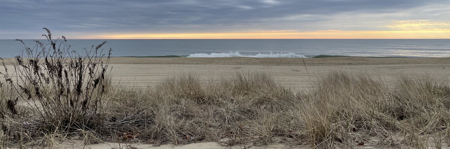 Ryan Wolfsheimer banner