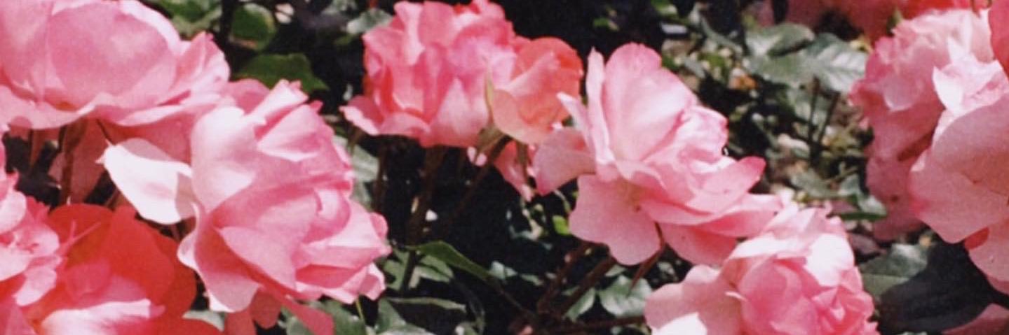 JimenaCrenier's profile banner image
