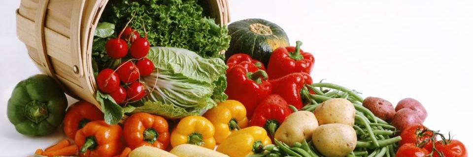 cookOfood's profile banner image