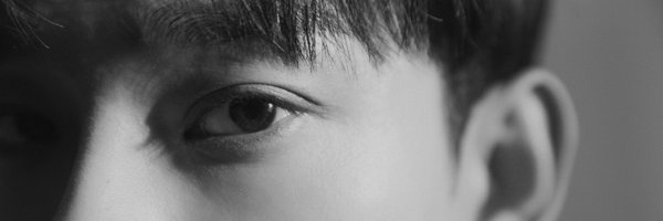 beaglekjd Profile Banner