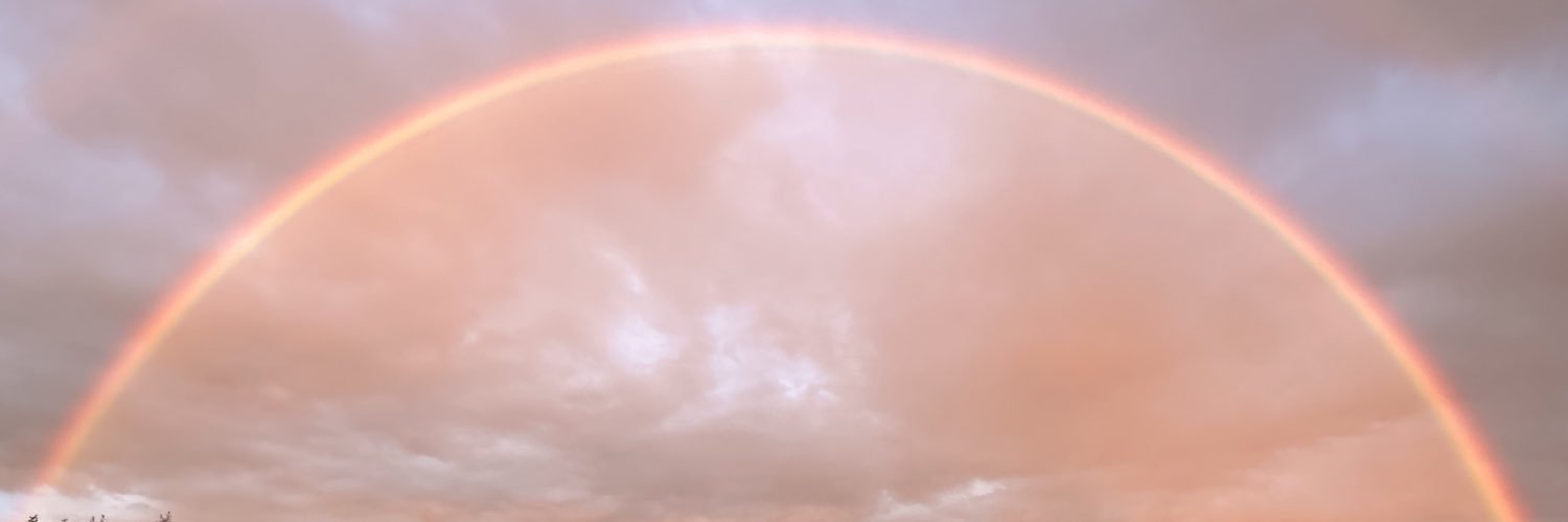 Skeeter Skunk 🦨 banner