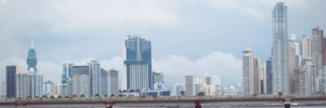 Lulii0895's profile banner image