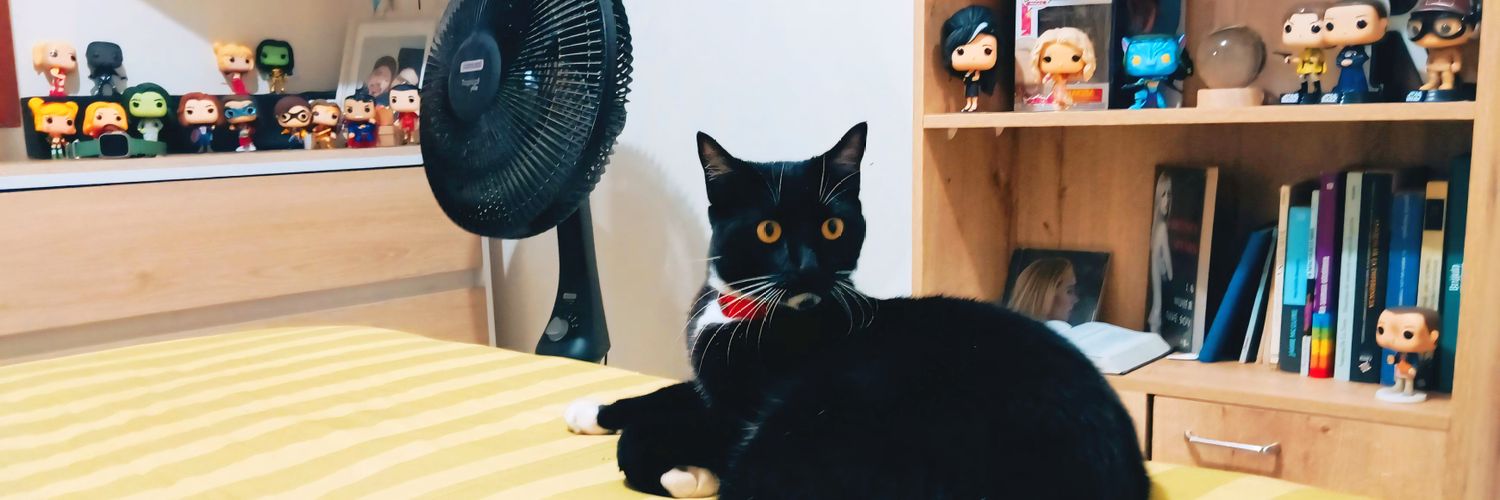 Rub3ndg's profile banner image