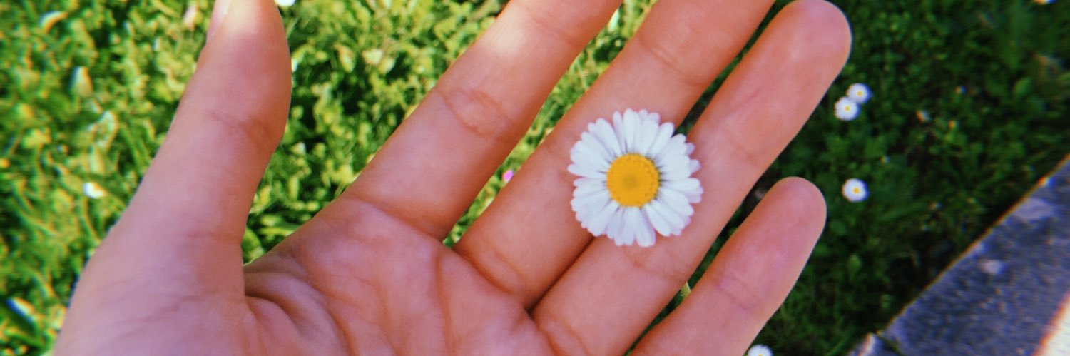 helloimcami_'s profile banner image