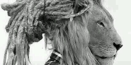 AndyLaRocksta's profile banner image