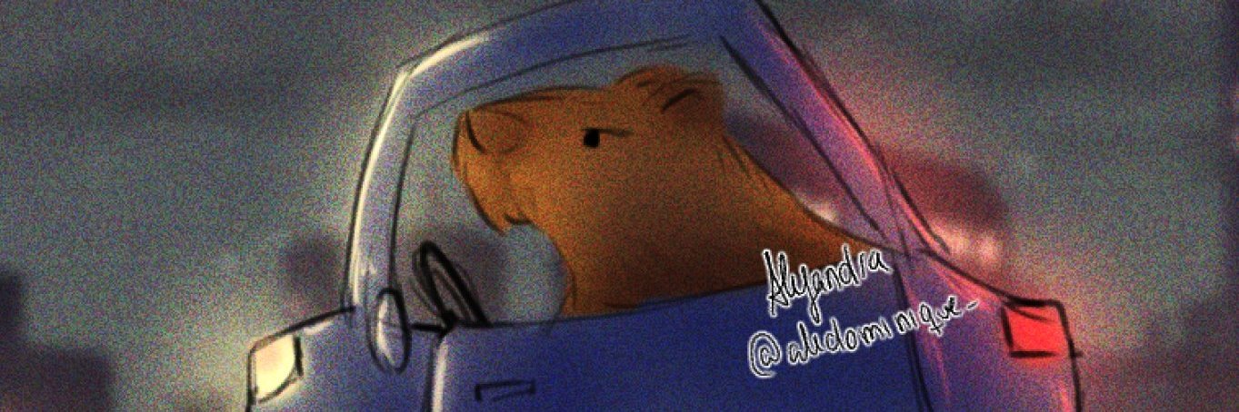 dapp1491's profile banner image