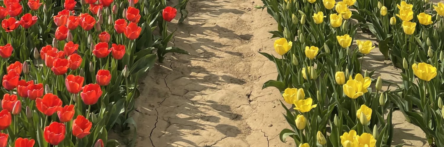 _Mariix0's profile banner image