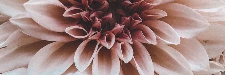 andreabarcia95's profile banner image