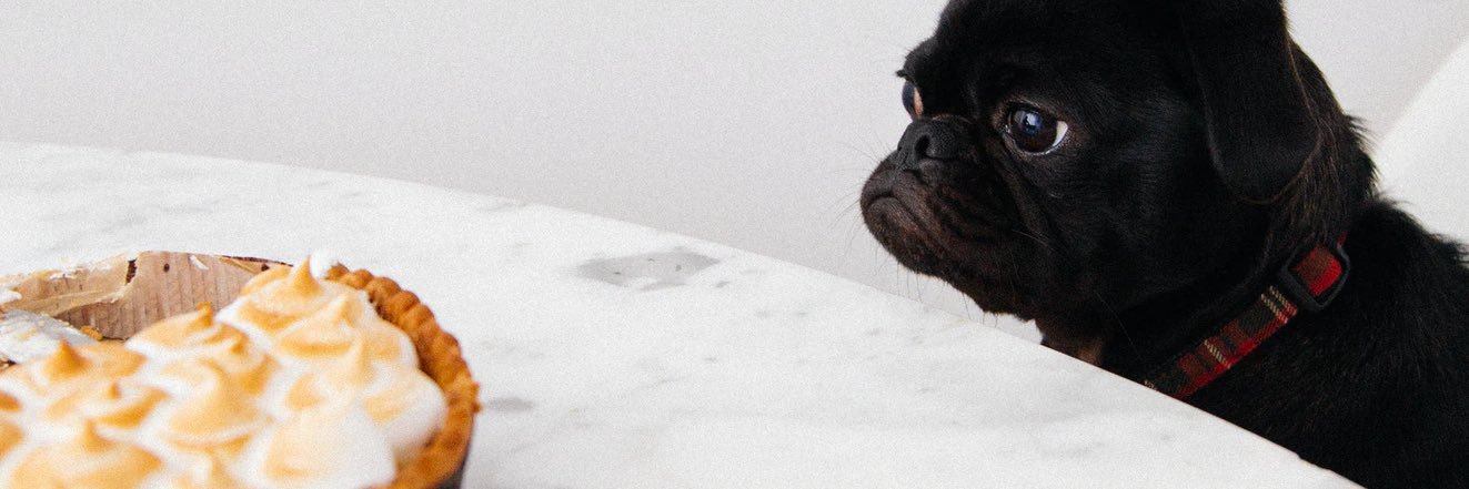emileesnyder's profile banner image