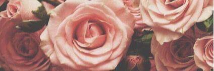 Sareth_Delgado's profile banner image