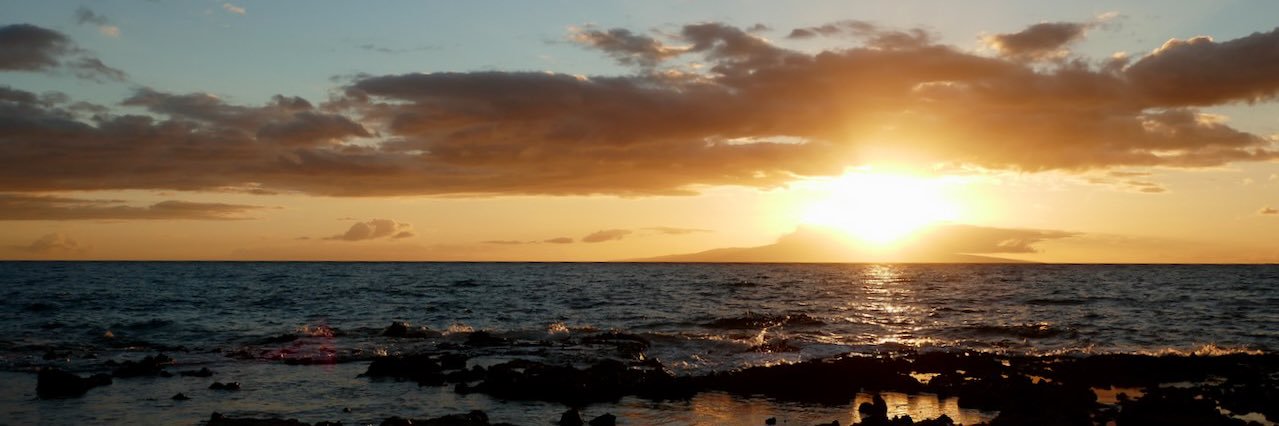 jcurtistx's profile banner image