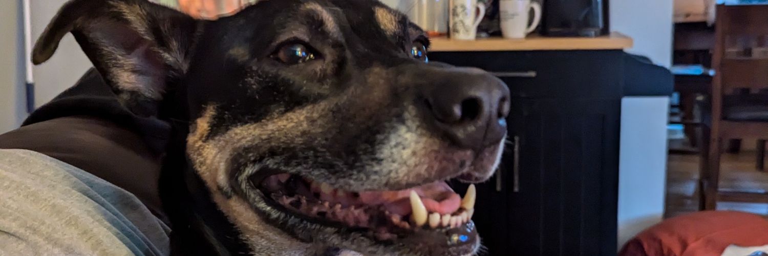BillMcComas's profile banner image