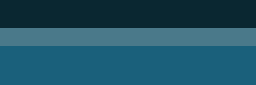 Nancy Tseng banner