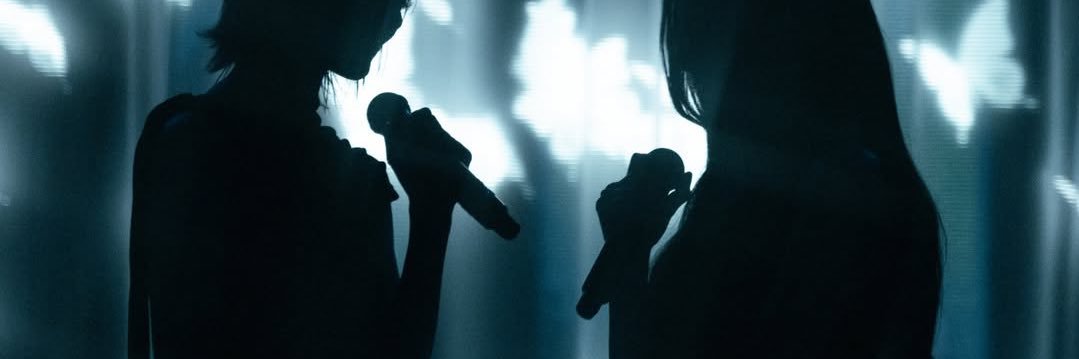 merlyn banner