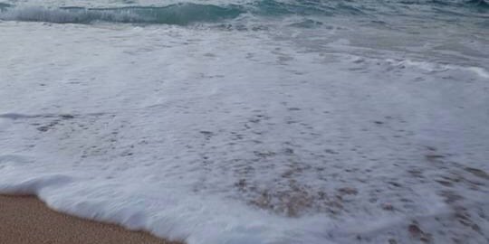 alexfriloux's profile banner image