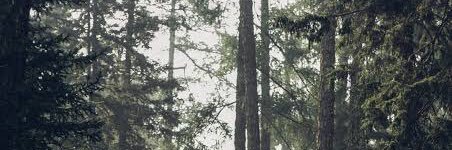 Thoughtproof's profile banner image