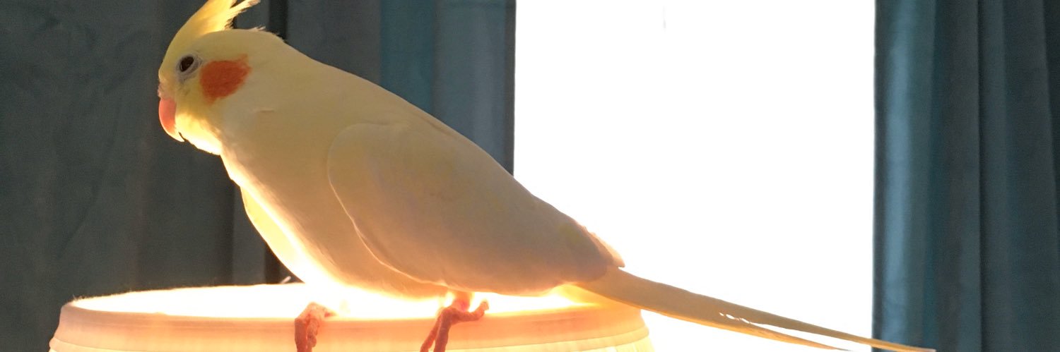 maurnd's profile banner image