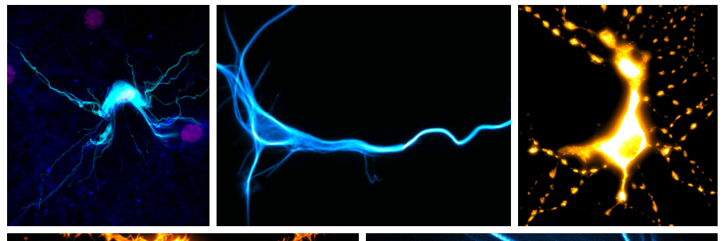 NeuroDam's profile banner image