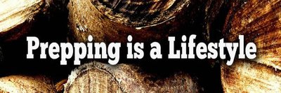 Survival_SB's profile banner image