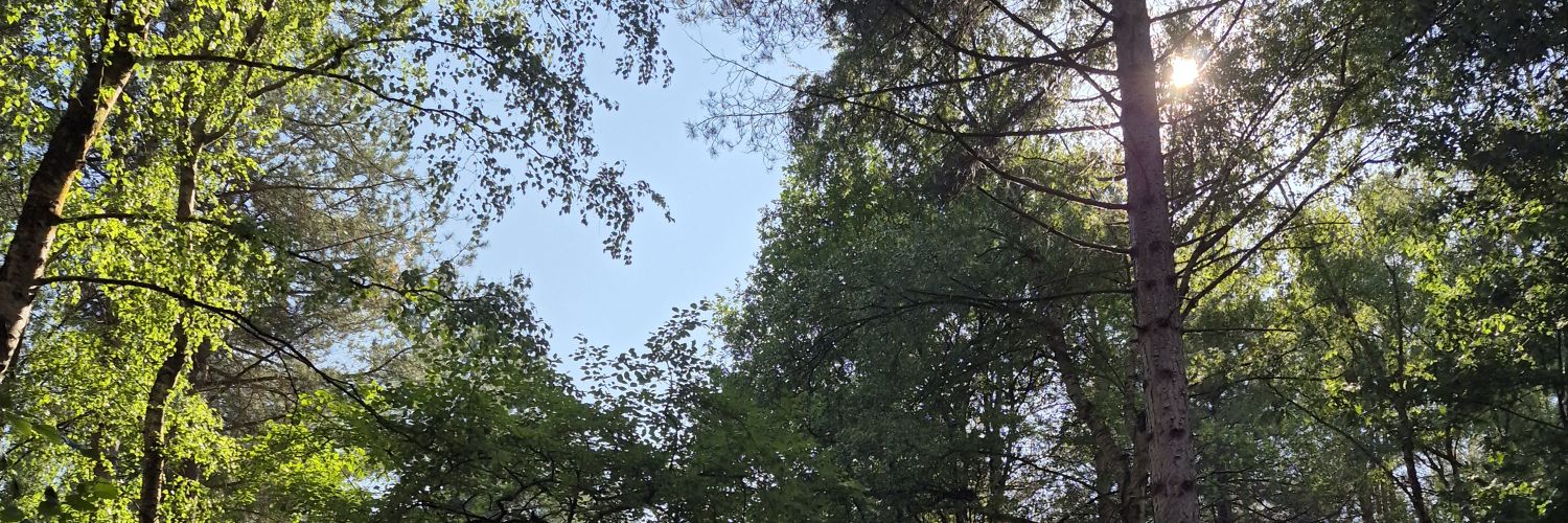 shann_192's profile banner image
