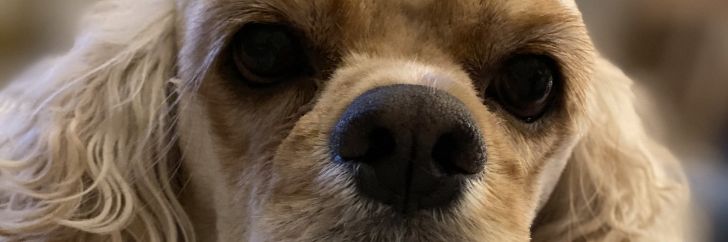 chasepinder's profile banner image