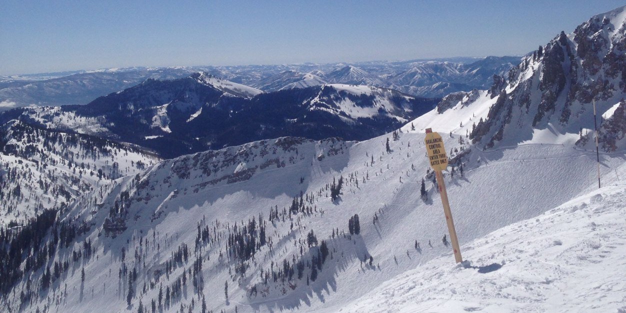 Susie Mulder banner