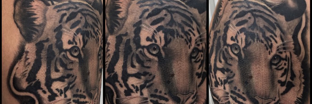 mattrosetattoos's profile banner image