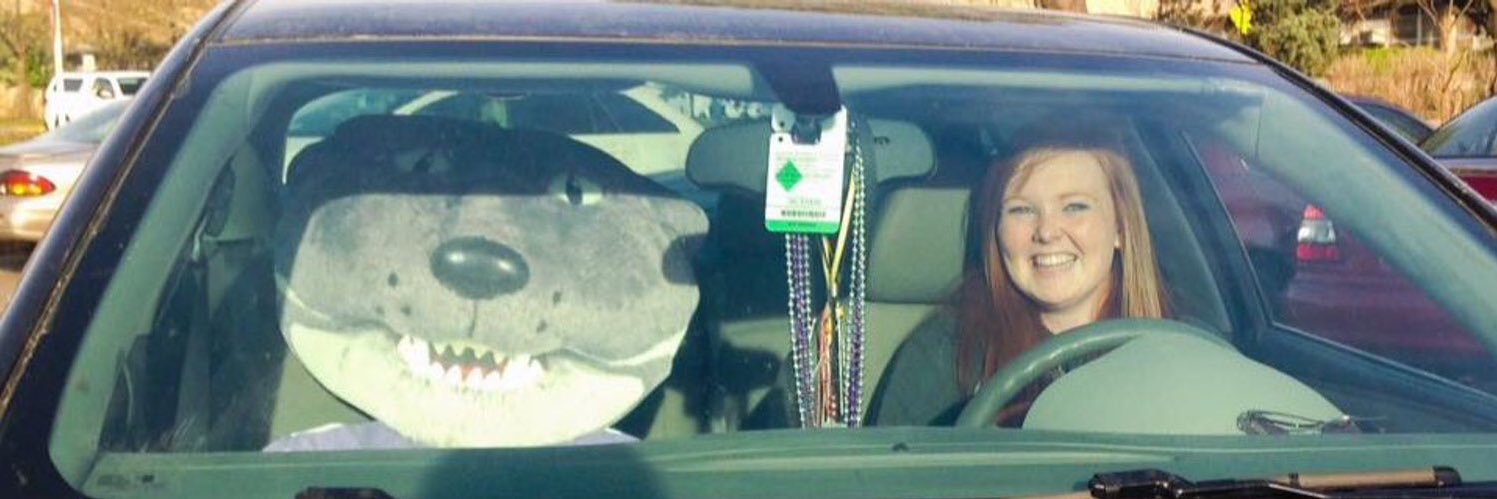 Courtlee95's profile banner image