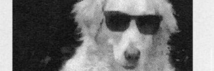 Robby Burbank banner