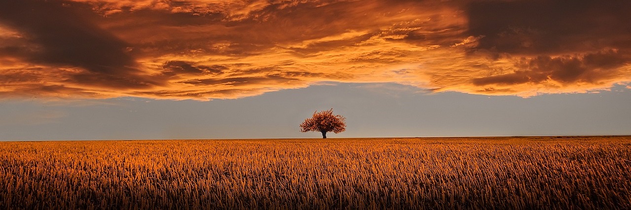 Climate Dispatch banner