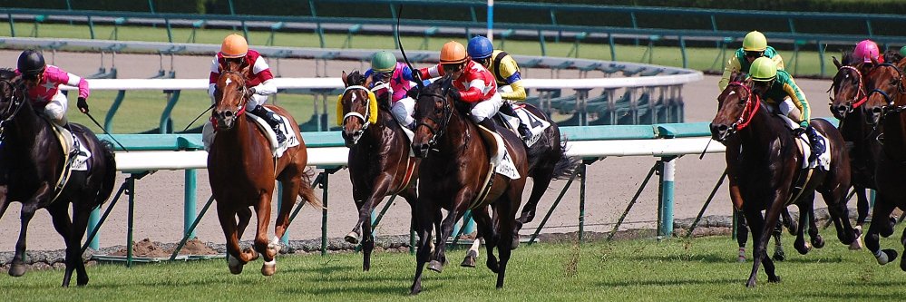 みんと^ↀᴥↀ^🌸🐎 banner