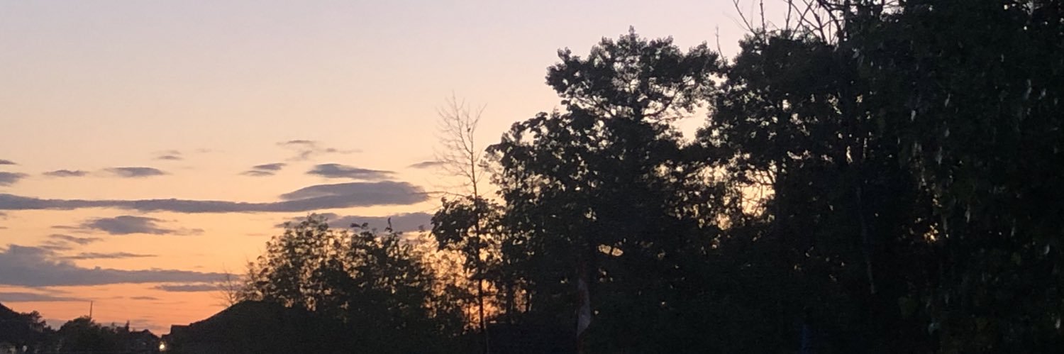 DebraRantz's profile banner image