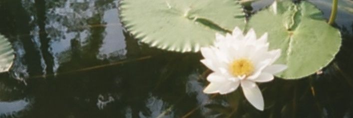 agrwuz's profile banner image