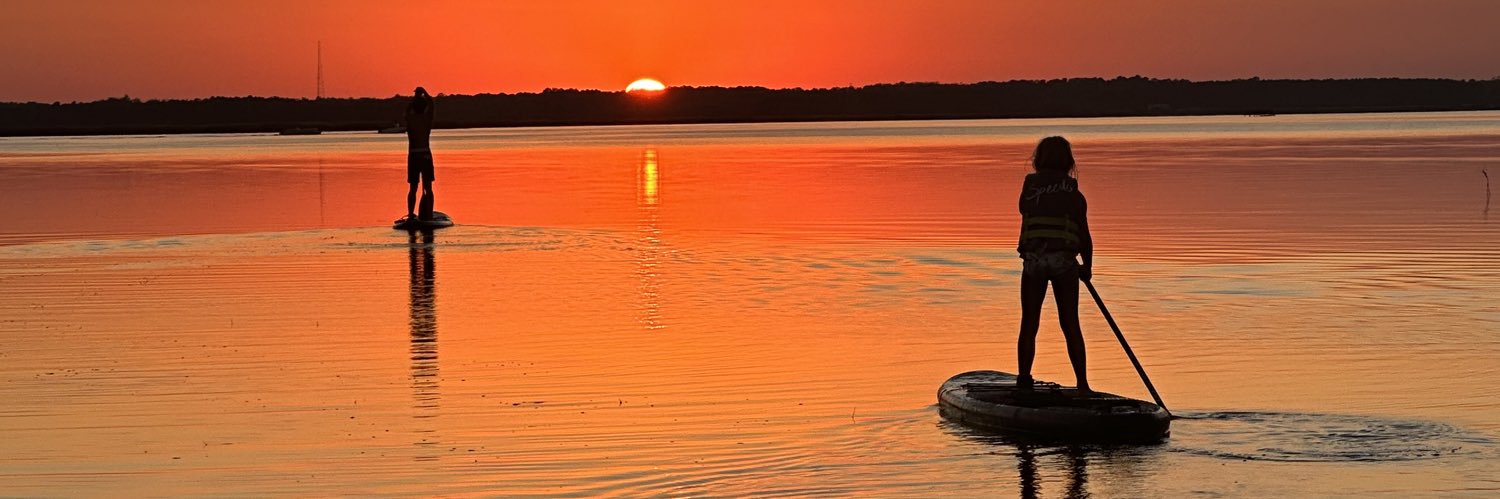 kimberleebvb 🇺🇸🐾 banner