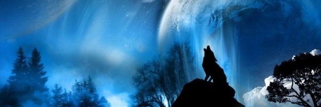 AldoRodriiguez's profile banner image