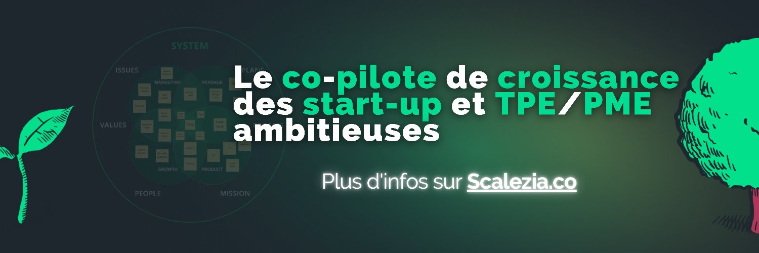 Benoît Dubos (👉 Scalezia.co) banner