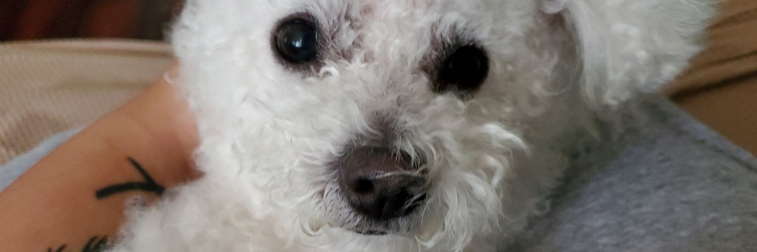 StephanieM_02's profile banner image