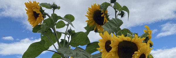 tazalaz Profile Banner