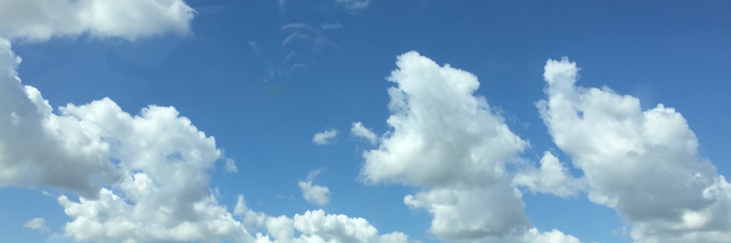 Lucia banner