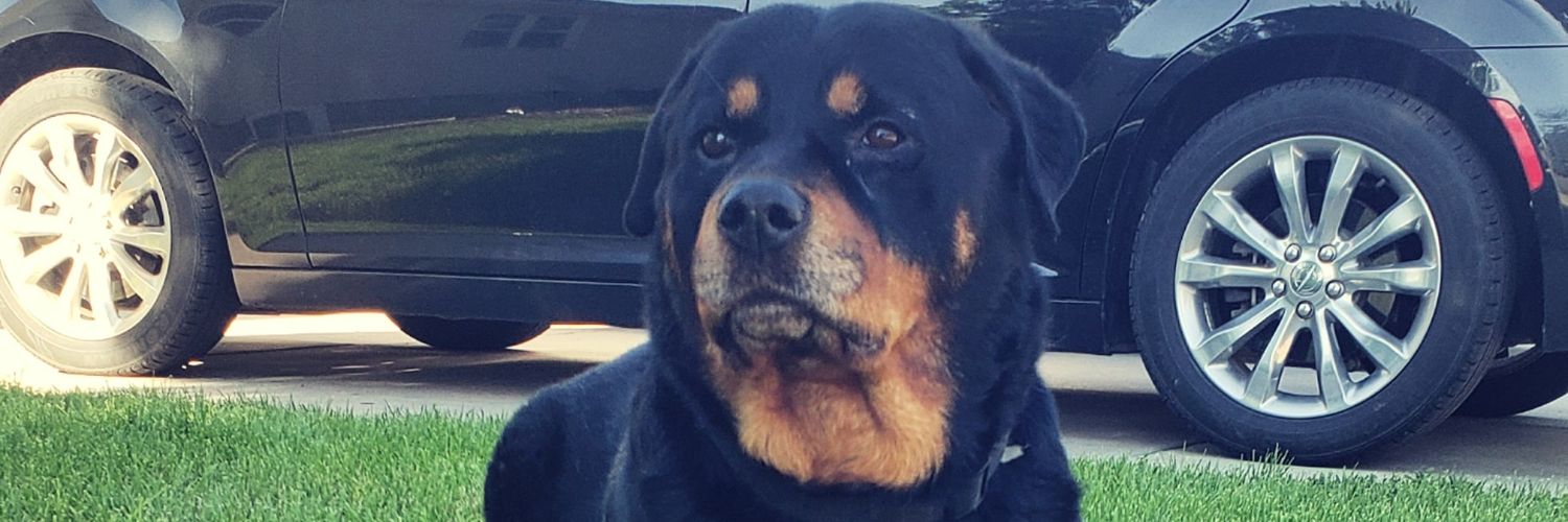 BigBossDaddy21 banner