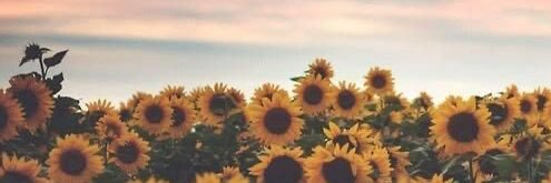 CarterKaylon's profile banner image