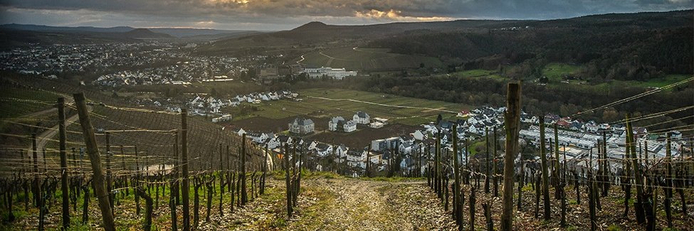 Florian Reiter banner