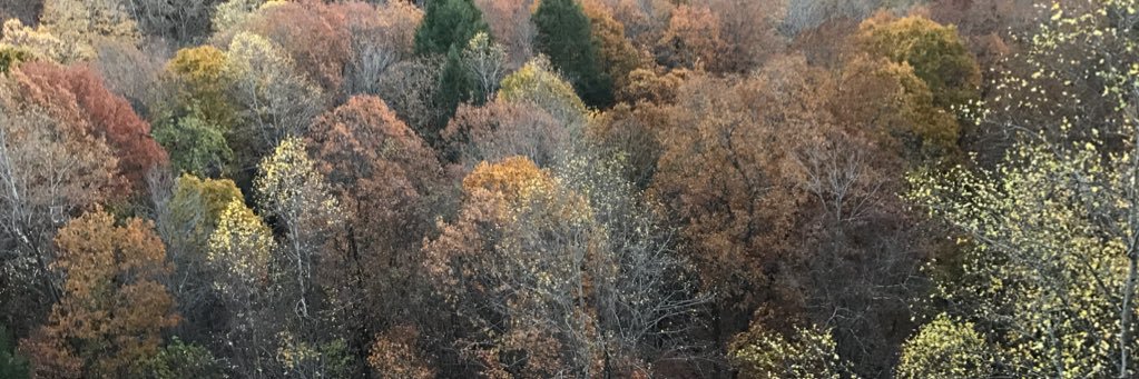 ianspence_'s profile banner image