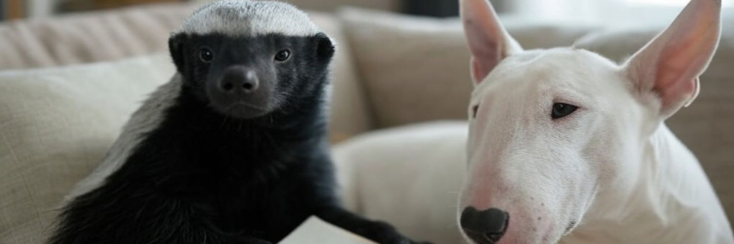 Gerhard Human banner