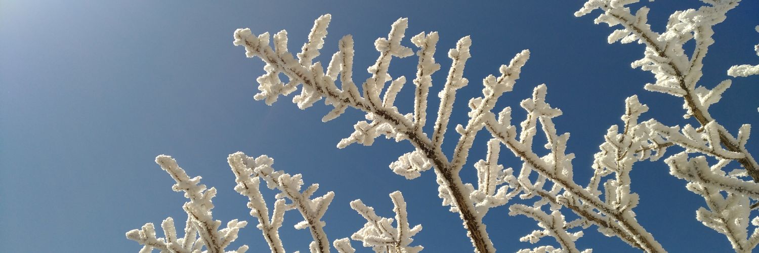wrapsworks's profile banner image
