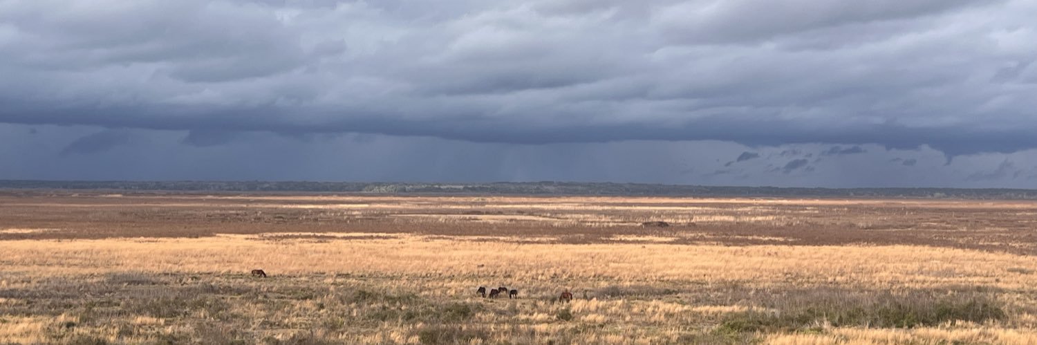 El Scorcho⚡️🧡🧡 banner