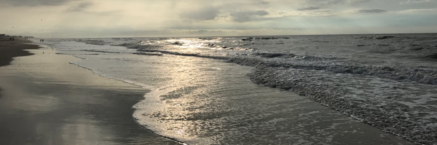 jeanninejannot's profile banner image
